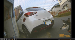 r04.10.31㉑カブ太