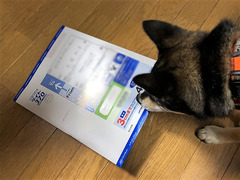 r04.6.15②油圧計