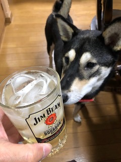 r04.10.31④カブ太