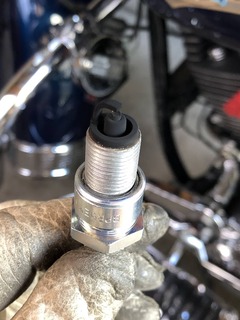 r04.6.17③一本桜