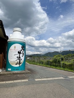 r06.6.9⑤デザートツー