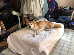 r01.9.9②プチ試走