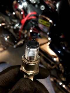 h30.5.23①真っ黒01