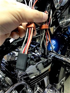 r03.6.29④ハーネス