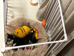 r04.2.17①2月10日