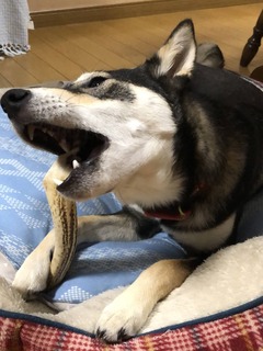 r04.6.24②市内ランニング