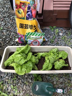 r04.6.24⑦市内ランニング