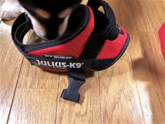 r04.3.24②ハーネス