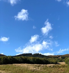 r03.10.5⑪日曜日