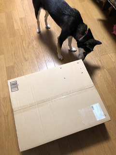 r04.10.26⑨何かが