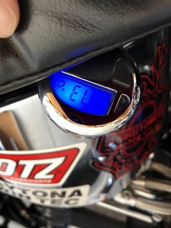 r04.6.17②一本桜