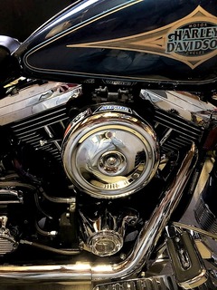 505ec3c5-s.jpg