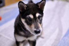 r04.2.16④花デジイチ