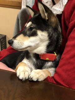 r04.4.22①花