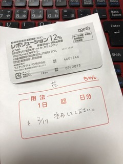 r04.2.17⑤2月10日