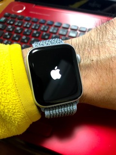 r02.12.02⑱apple