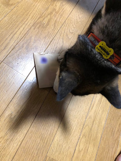 r04.4.22④花