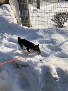 r04.2.17③2月10日