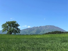 r01.5.30⑤小岩井