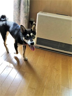 r04.4.16⑧抜糸