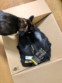 r04.10.26⑩何かが