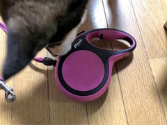 r04.3.21③flexi