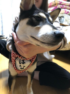 r04.4.22⑦花