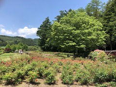 r04.6.24⑥市内ランニング