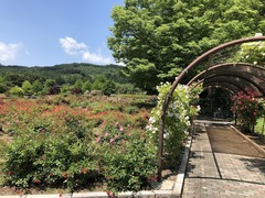 r04.6.24⑤市内ランニング