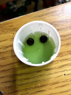 h30.5.21⑪ラストリムーバー