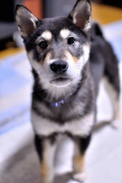 r04.2.16②花デジイチ