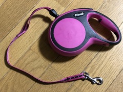 r04.3.21⑥flexi