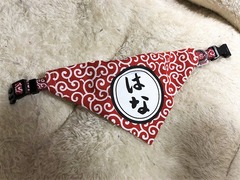 r04.4.22⑥花