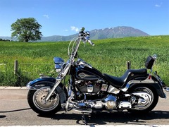 r01.5.30③小岩井