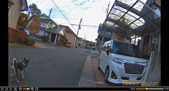 r04.10.31⑳カブ太