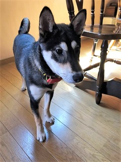 r04.4.16⑥抜糸