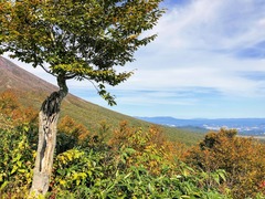 r03.10.9⑤鞍掛山登山