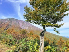 r03.10.9④鞍掛山登山