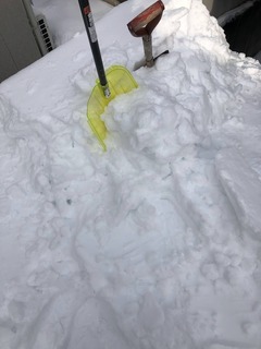 r04.1.23②雪下ろし
