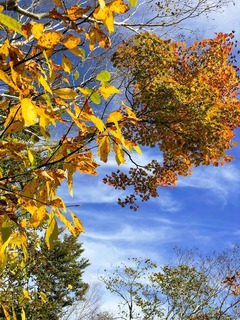 r03.10.9⑧鞍掛山登山