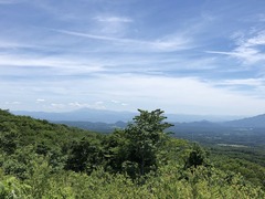r04.7.3⑫網張