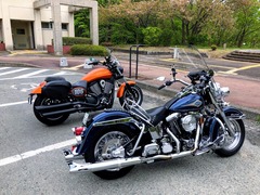 h30.5.12⑥プチミー01