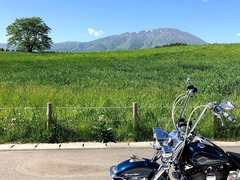 r01.5.30①小岩井