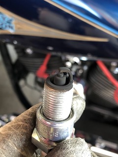 r04.6.17④一本桜