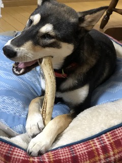 r04.6.24①市内ランニング