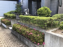 r04.6.13⑤バリカン