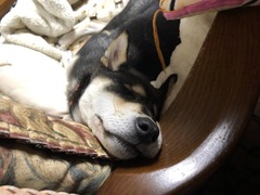 r04.3.9②花