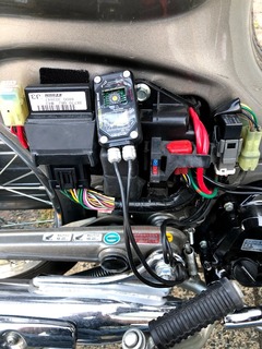 r01.8.25②カブ太