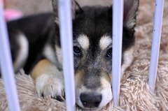 r04.2.16①花デジイチ