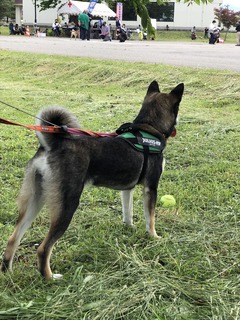 r04.5.29⑤花ちゃんとドライブ